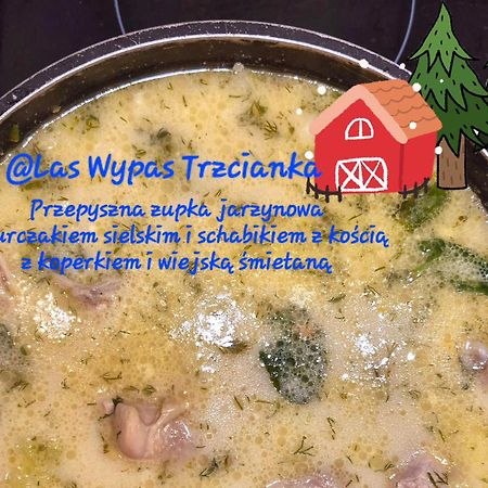 Noclegi "Las Wypas" Trzcianka Тшцянка Екстер'єр фото
